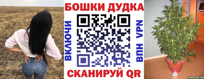 цены наркотик  Трубчевск  Конопля гибрид 